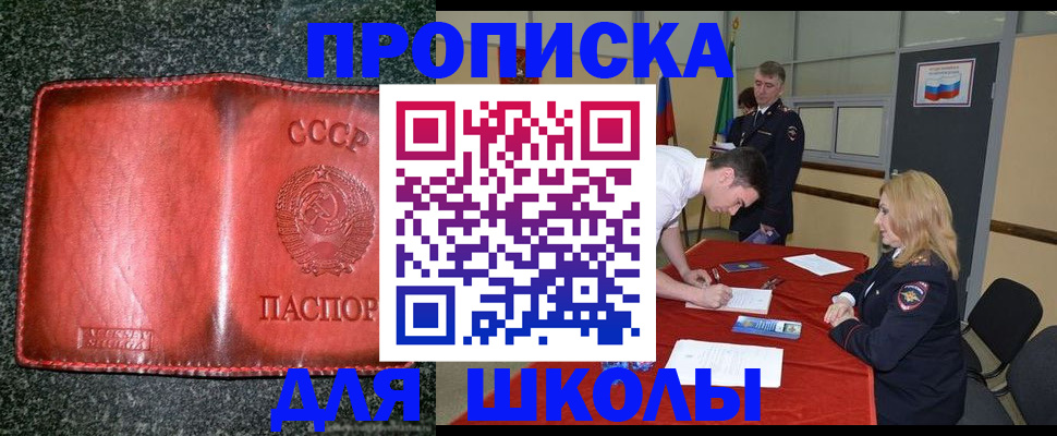 прописка в квартире в Павловске